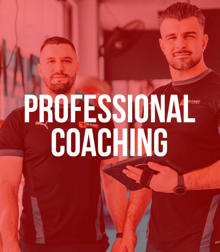 Professional coaching